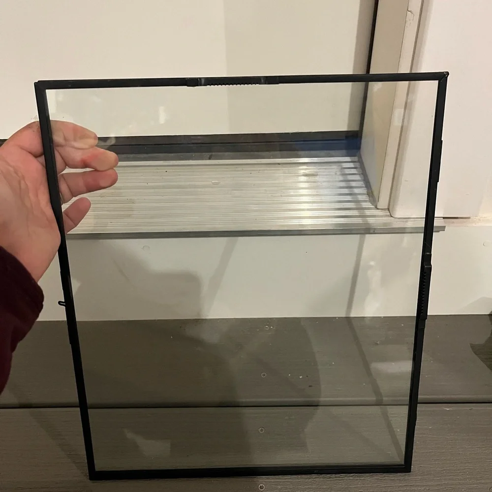 Black Floating Frames - West Elm